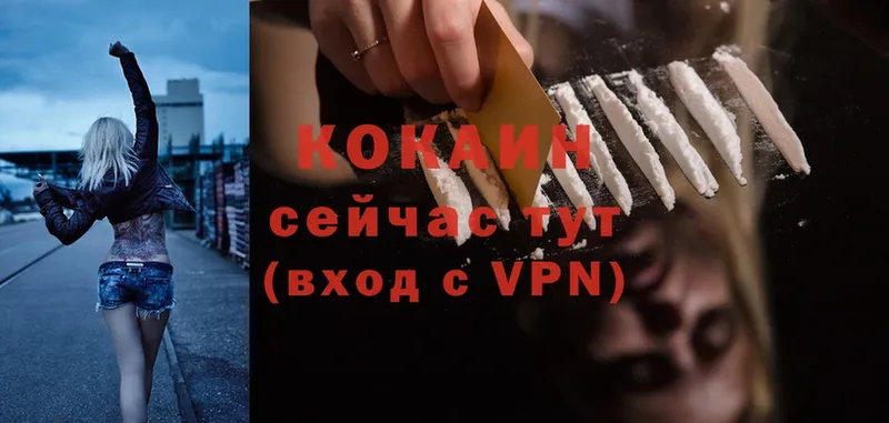 Cocaine 98%  где можно купить   Короча 