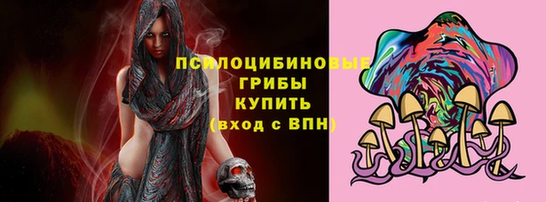 ПСИЛОЦИБИНОВЫЕ ГРИБЫ Нязепетровск