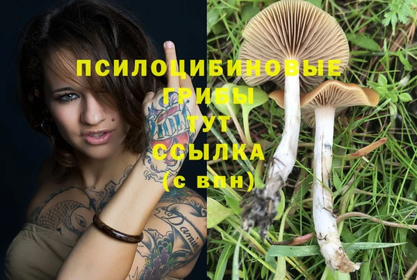 скорость Няндома