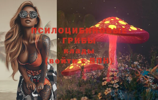 индика Остров