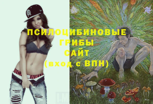 альфа пвп Осинники