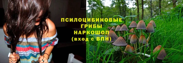 альфа пвп Осинники