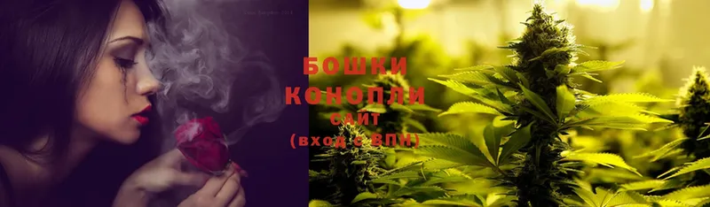 Марихуана THC 21%  где купить наркотик  Короча 